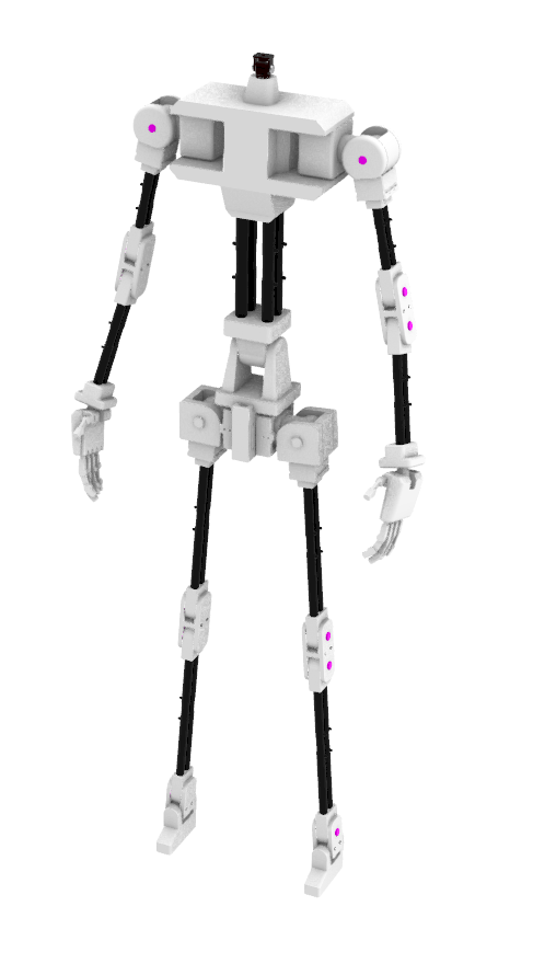 Action Gear 超可動人形骨架